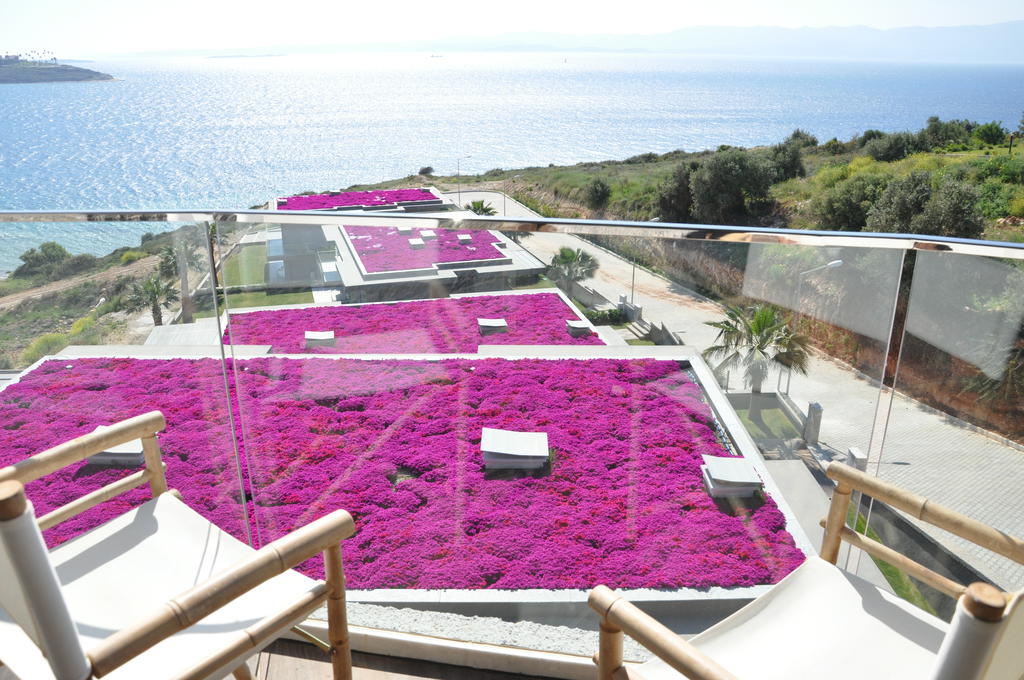 Sato Design Hotel (Adults Only) Çeşme Værelse billede