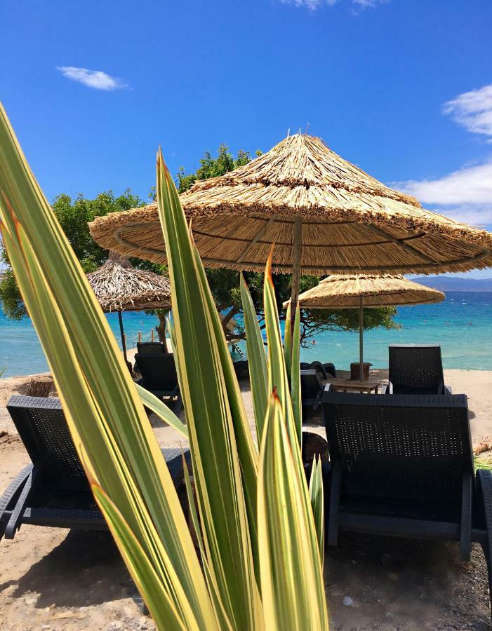 Sato Design Hotel (Adults Only) Çeşme Eksteriør billede